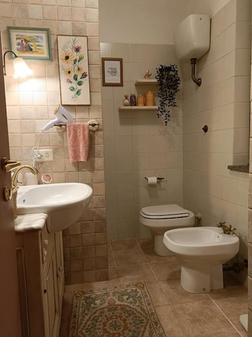 D'Amico Home Experience - Frosinone Centro Eksteriør bilde