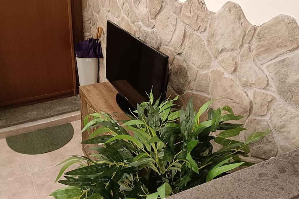 D'Amico Home Experience - Frosinone Centro Eksteriør bilde